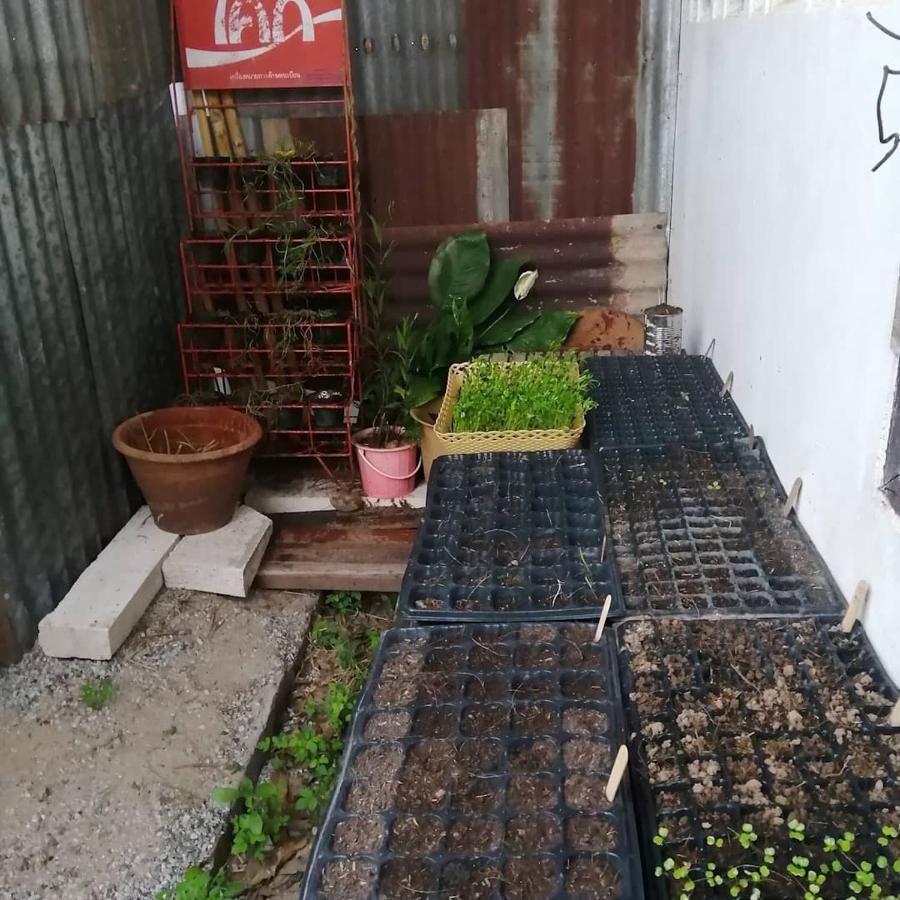 Chill Pill Hostel 치앙 칸 외부 사진